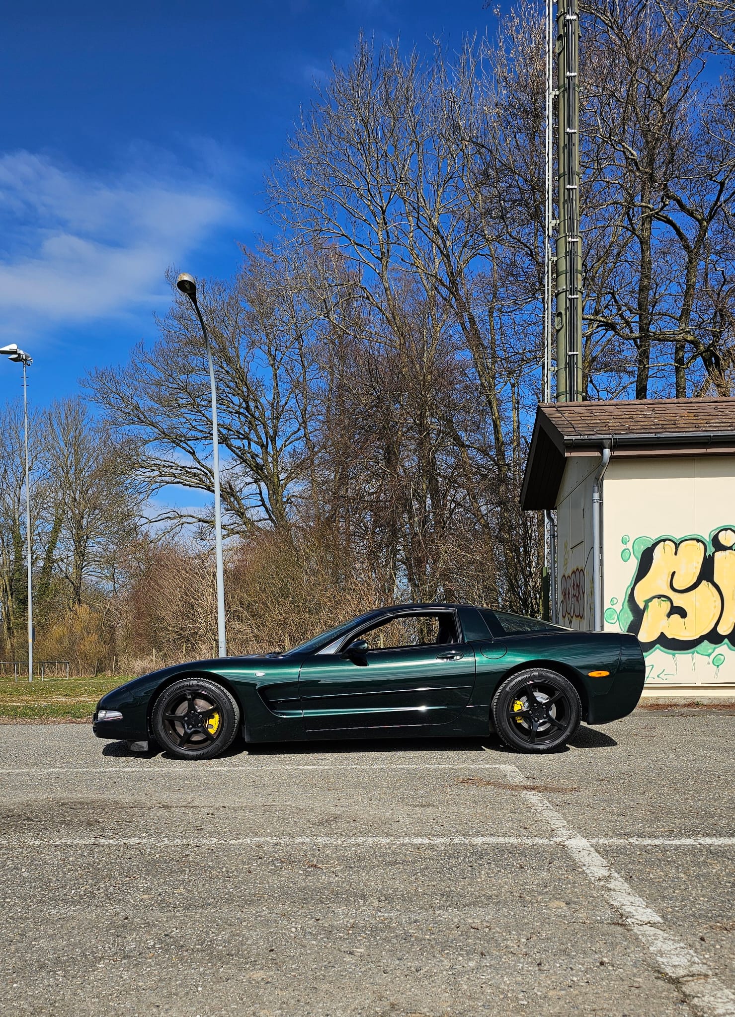 Corvette