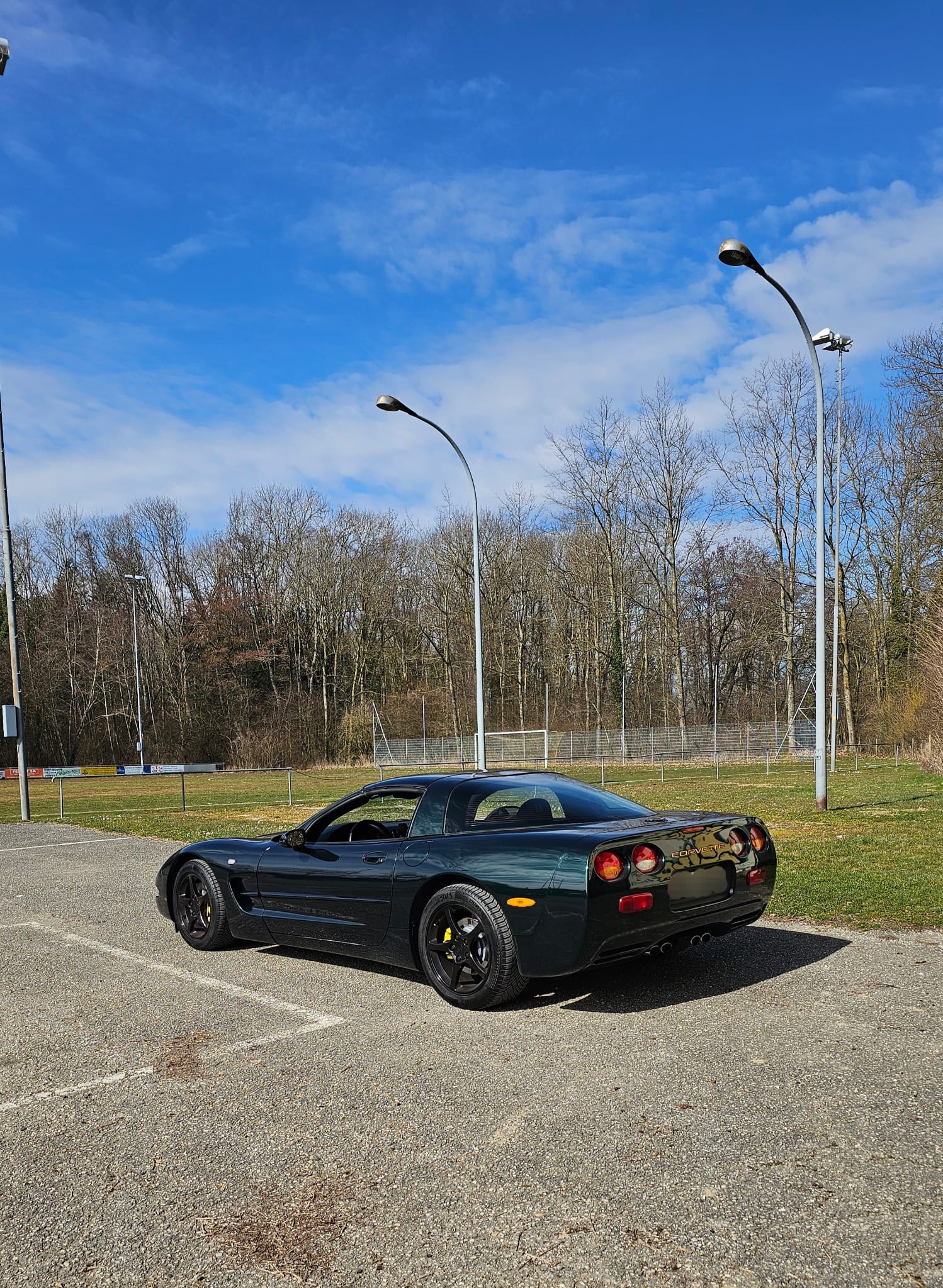 Corvette
