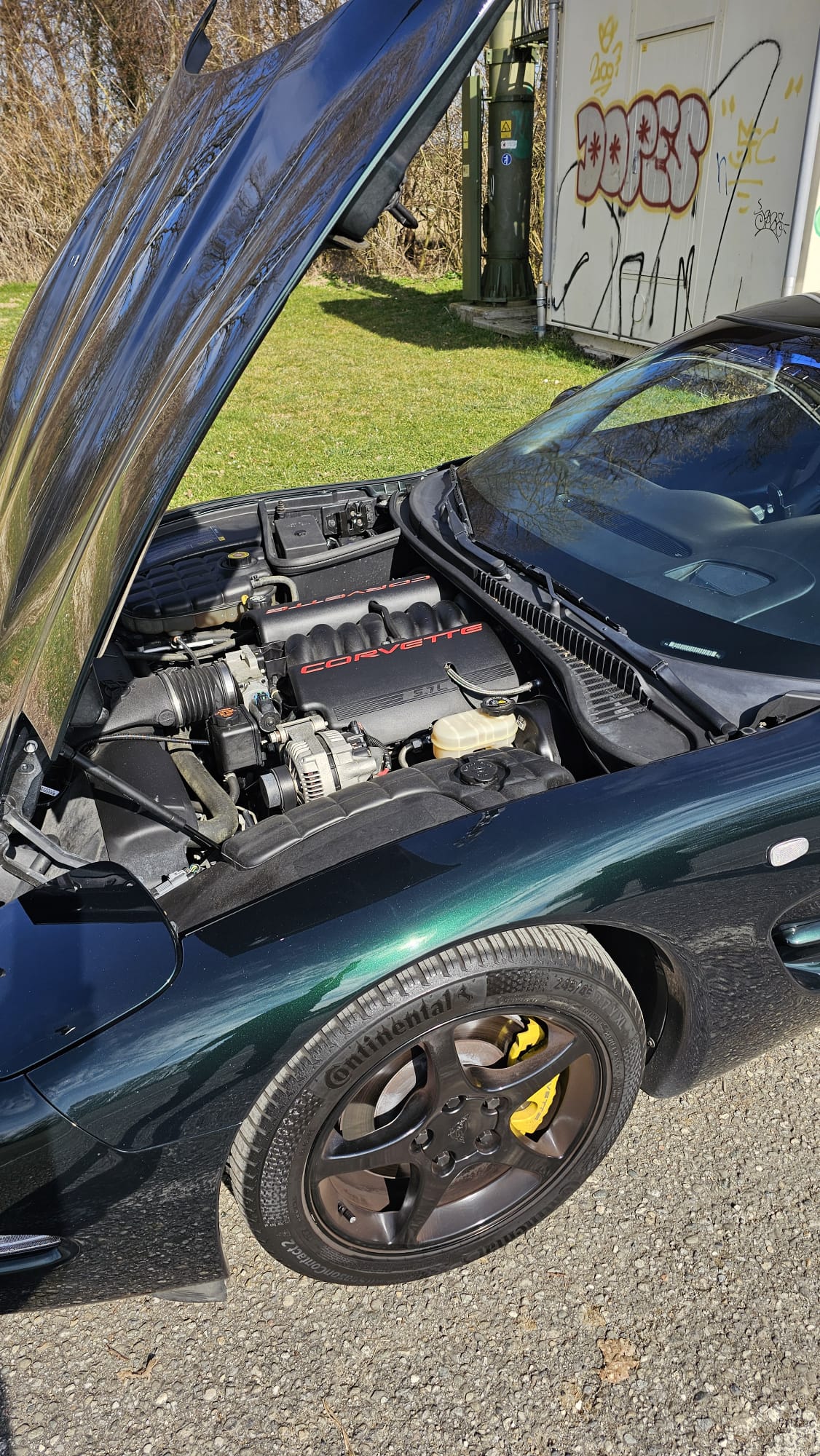 Corvette